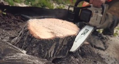 tree stump being removed by a chainsaw in newport beach california